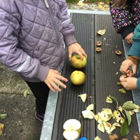 Børnehænder der leger med æbler udenfor